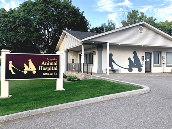 Exterior view of Arnprior Animal Hospital in Arnprior