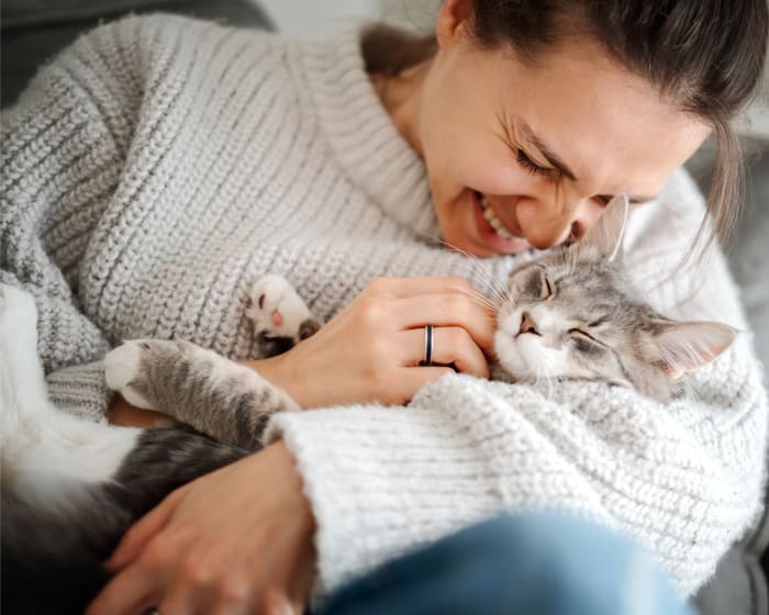 A woman wearing a comfy sweater is cuddling a grey and white cat in her arms. The cat and the woman both look happy and contented.