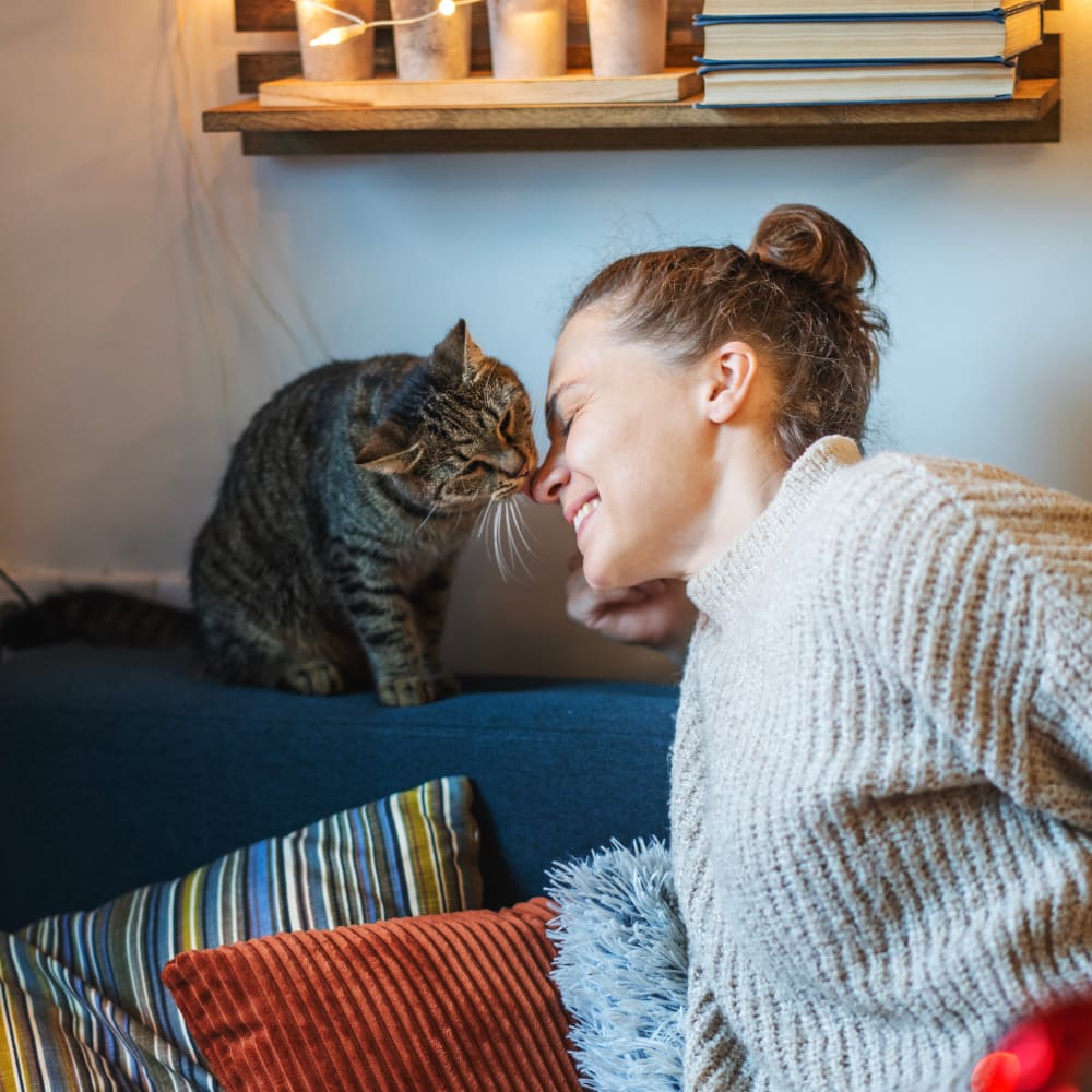 Welcome to Arnprior Animal Hospital